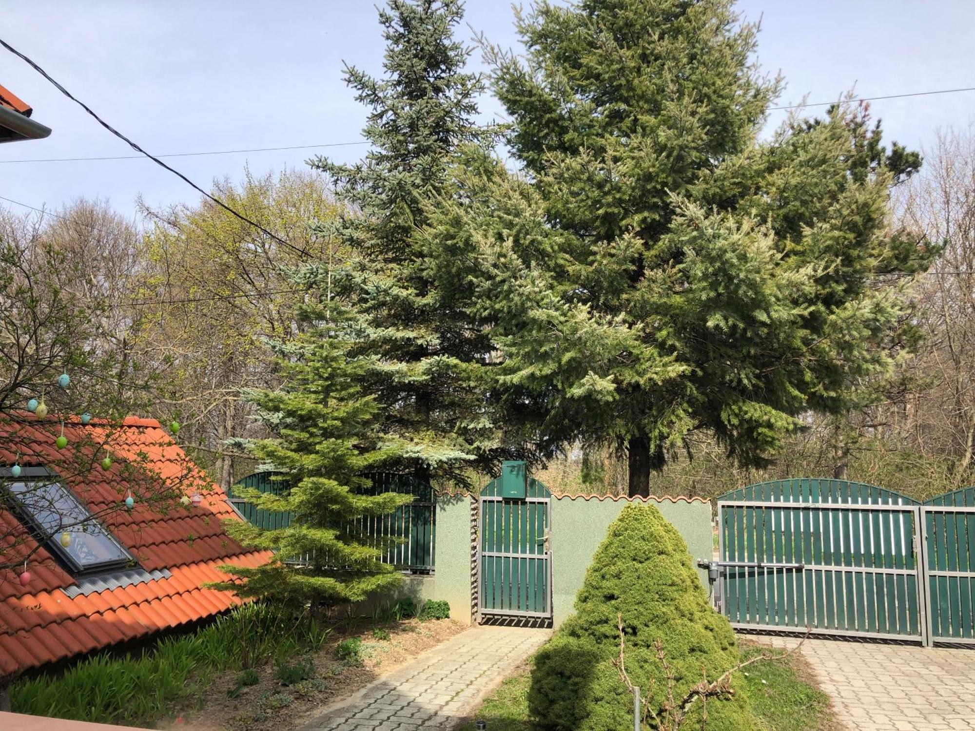Bakonyi Mamutfenyo Vendeghaz Daire Tés Dış mekan fotoğraf